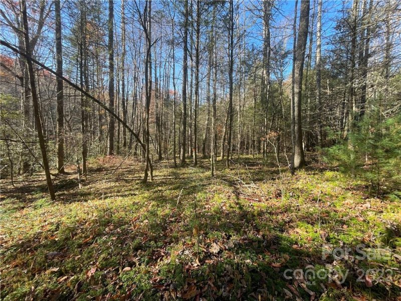 Tbd Green Hollow Lane