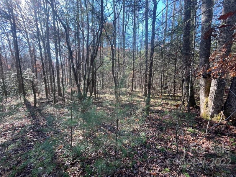 Property image 2 at Tbd Green Hollow Lane, Brevard, NC 28712