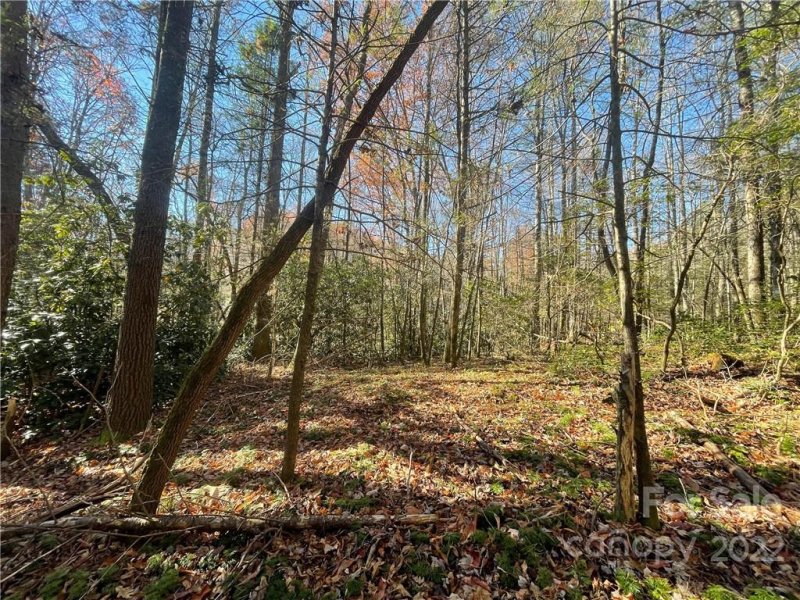 Property image 3 at Tbd Green Hollow Lane, Brevard, NC 28712
