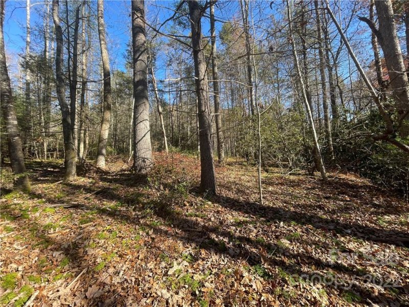 Property image 4 at Tbd Green Hollow Lane, Brevard, NC 28712