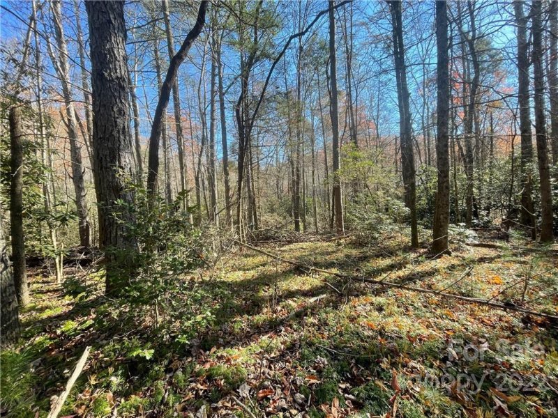 Property image 5 at Tbd Green Hollow Lane, Brevard, NC 28712