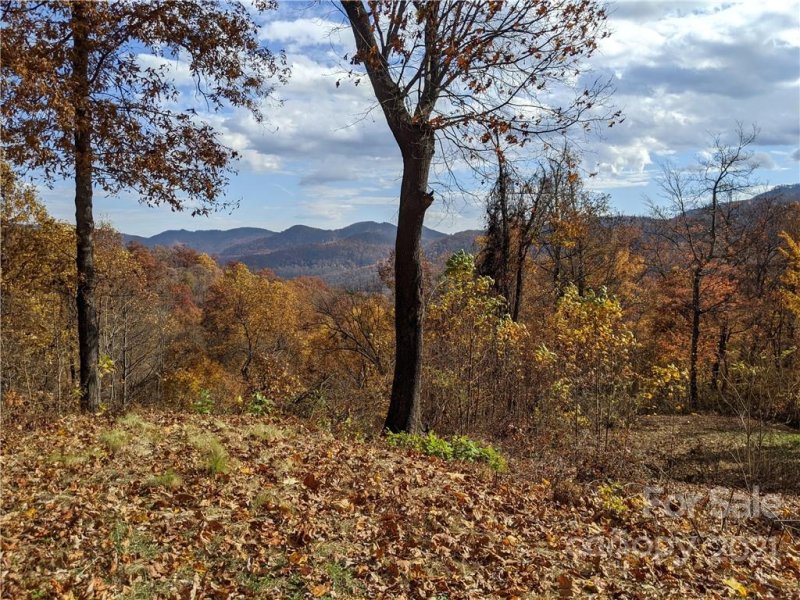Property image 2 at Tbd Kestrel Lane, Black Mountain, NC 28711