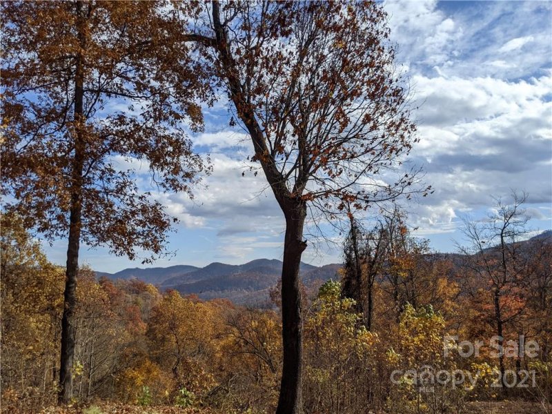 Property image 4 at Tbd Kestrel Lane, Black Mountain, NC 28711