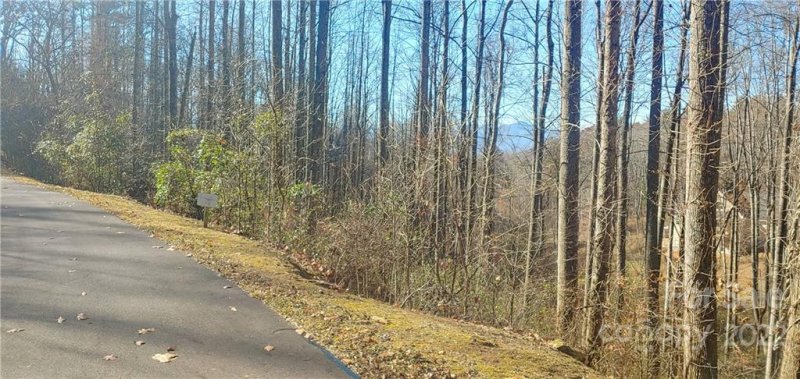 Property image 2 at 37 Ashewood Mountain Way, Candler, NC 28715