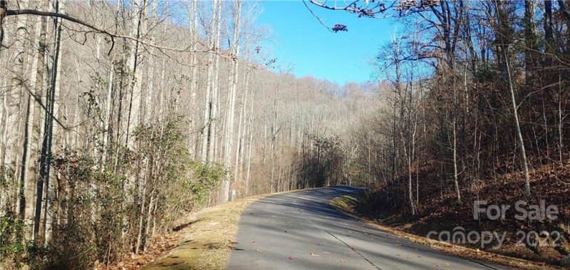 Property image 3 at 37 Ashewood Mountain Way, Candler, NC 28715