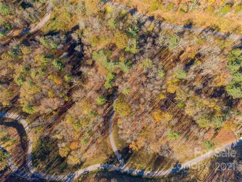 Property image 3 at 33 Bent Branch Lane, Asheville, NC 28804