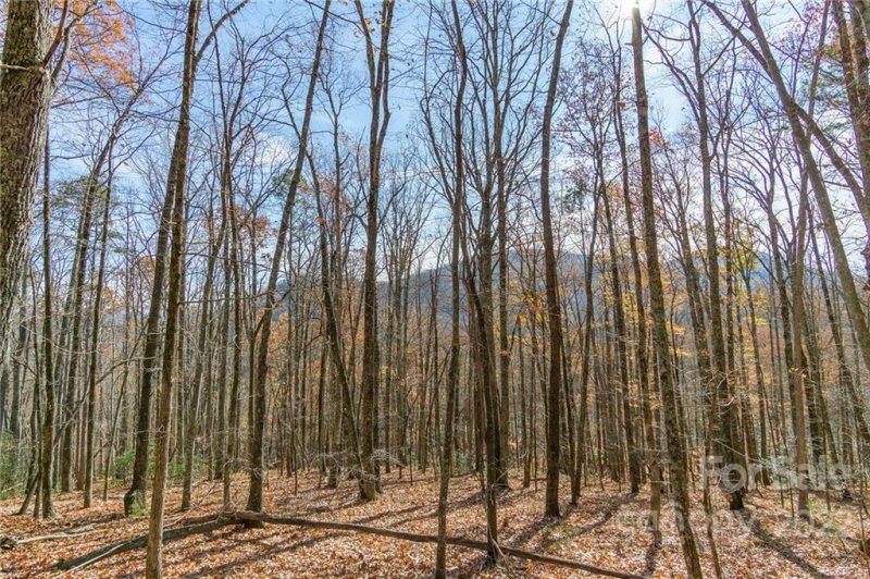 Property image 2 at 99999 Kalmia Road, Lake Lure, NC 28746