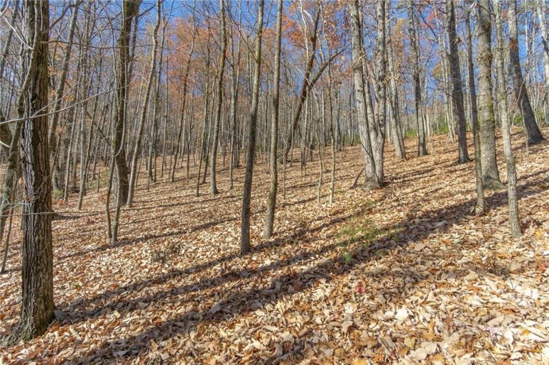 Property image 3 at 99999 Kalmia Road, Lake Lure, NC 28746