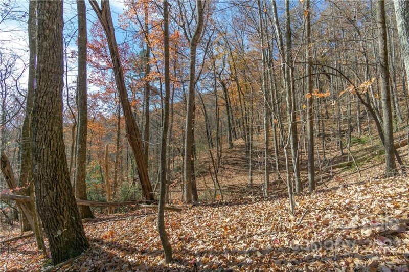 Property image 4 at 99999 Kalmia Road, Lake Lure, NC 28746