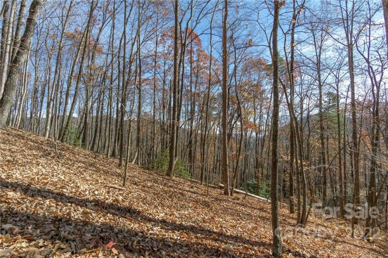 Property image 5 at 99999 Kalmia Road, Lake Lure, NC 28746