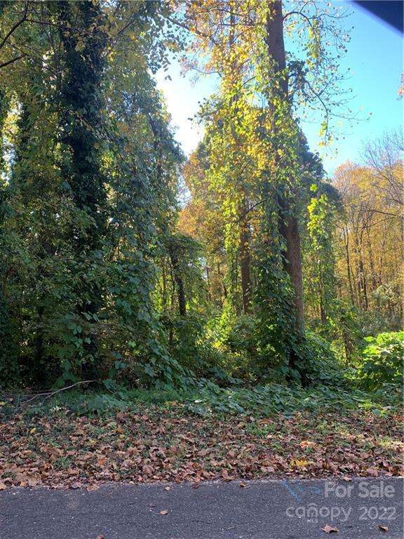 Property image 2 at 1006 Castlewood Drive, Shelby, NC 28150