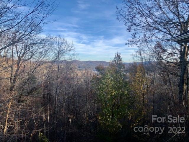 Property image 2 at 160 Sunrise Ridge Road, Spruce Pine, NC 28777