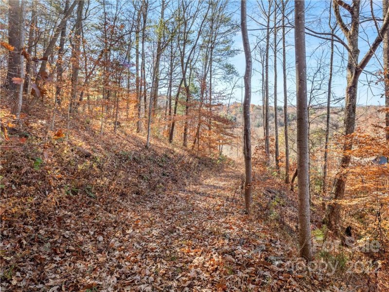 Property image 2 at 25 Franklin Trace Drive, Asheville, NC 28804