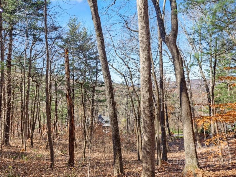 Property image 3 at 25 Franklin Trace Drive, Asheville, NC 28804