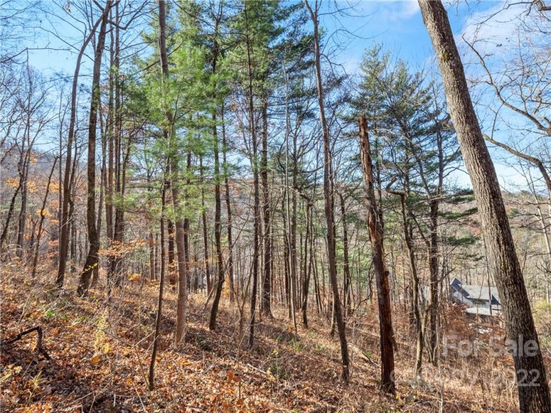 Property image 4 at 25 Franklin Trace Drive, Asheville, NC 28804