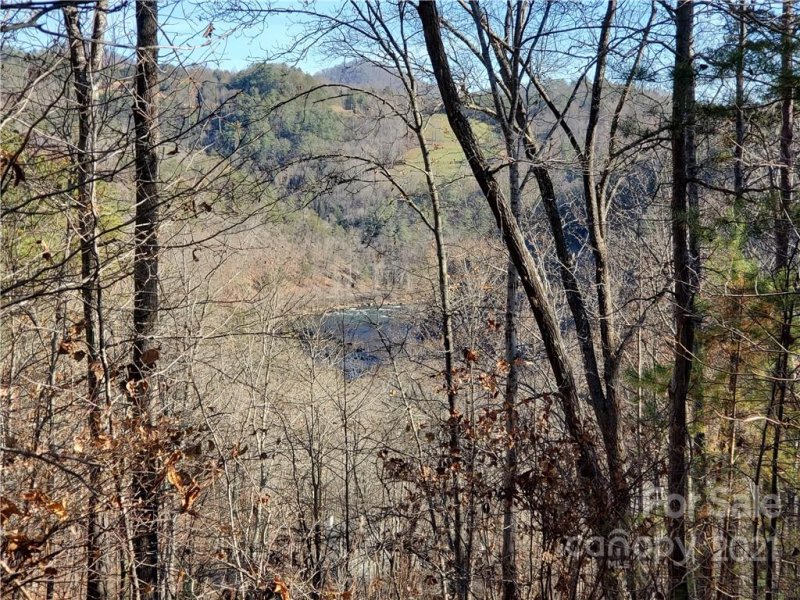 Property image 2 at 178 Wild River Run, Marshall, NC 28753