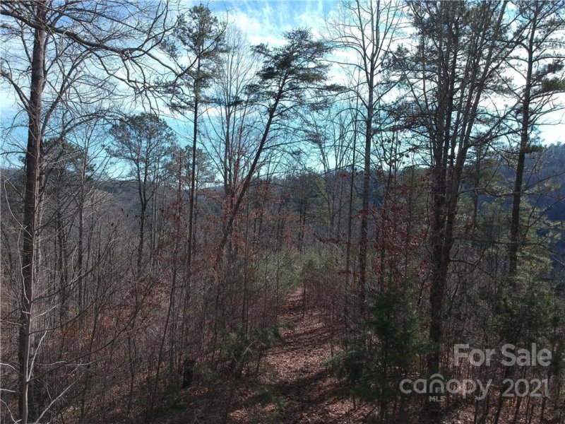 Property image 3 at 178 Wild River Run, Marshall, NC 28753