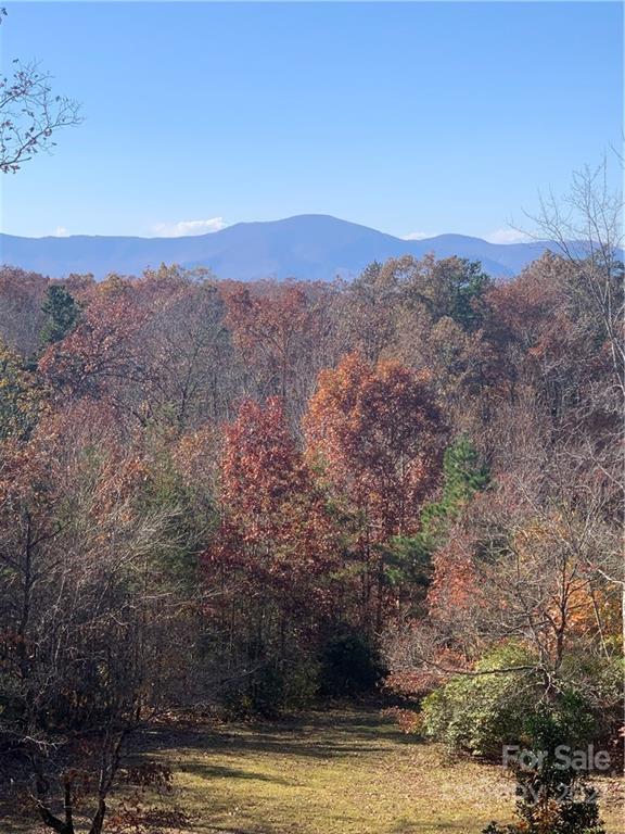 Property image 4 at 671 Hidden Hills Drive, Rutherfordton, NC 28139