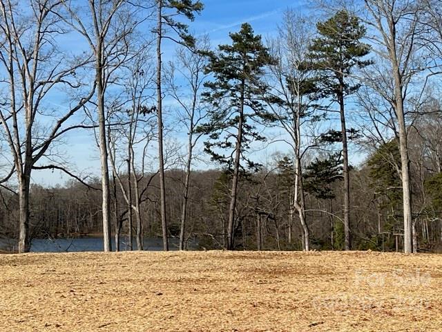 Property image 2 at 1007 Timberlake Point, Belmont, NC 28012