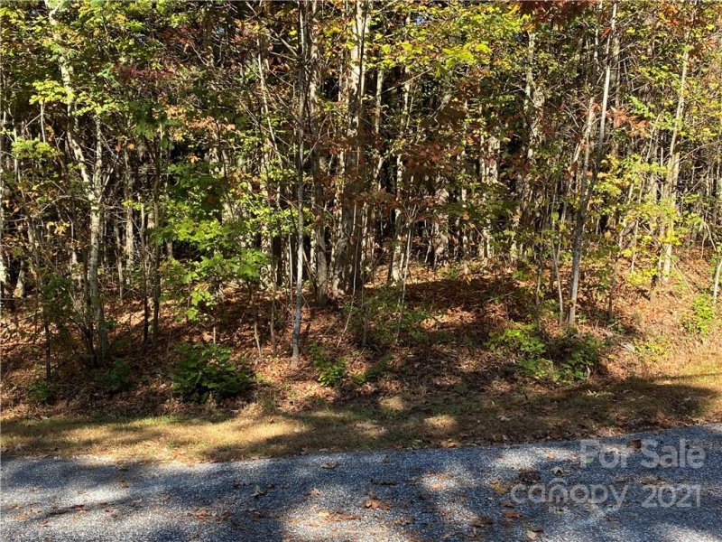 Property image 3 at 0 Dawn Valley Drive, Hendersonville, NC 28792