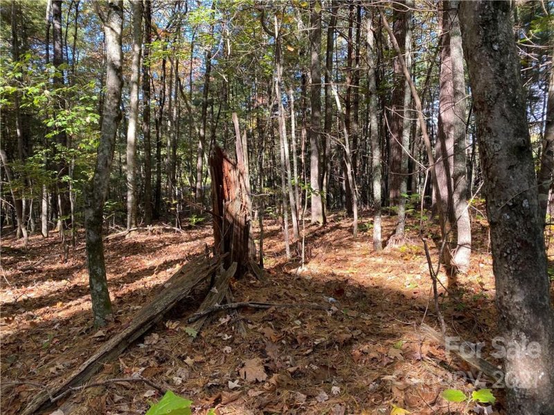 Property image 5 at 0 Dawn Valley Drive, Hendersonville, NC 28792