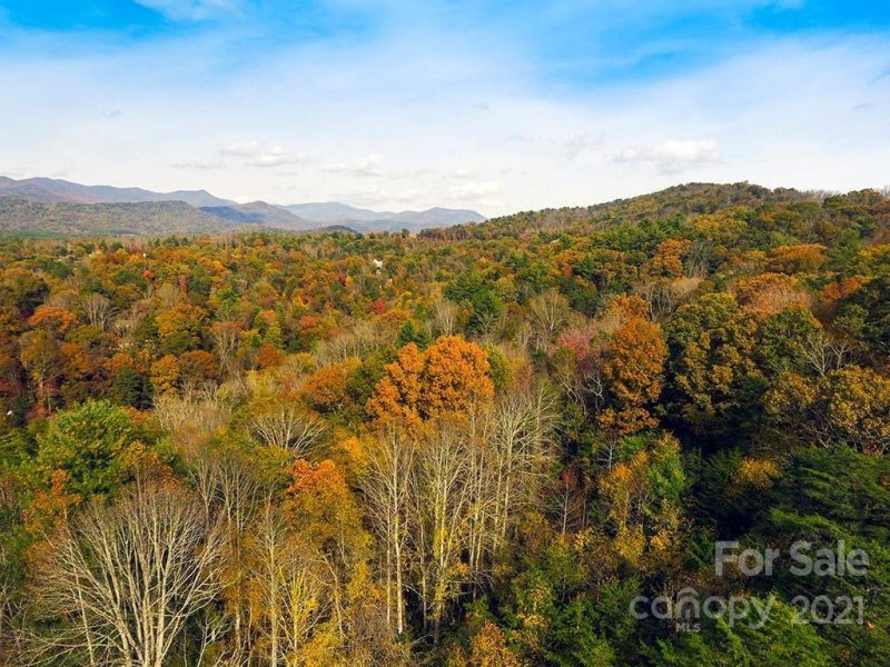 Property image 5 at 136 Riverbend Forest Drive, Asheville, NC 28805