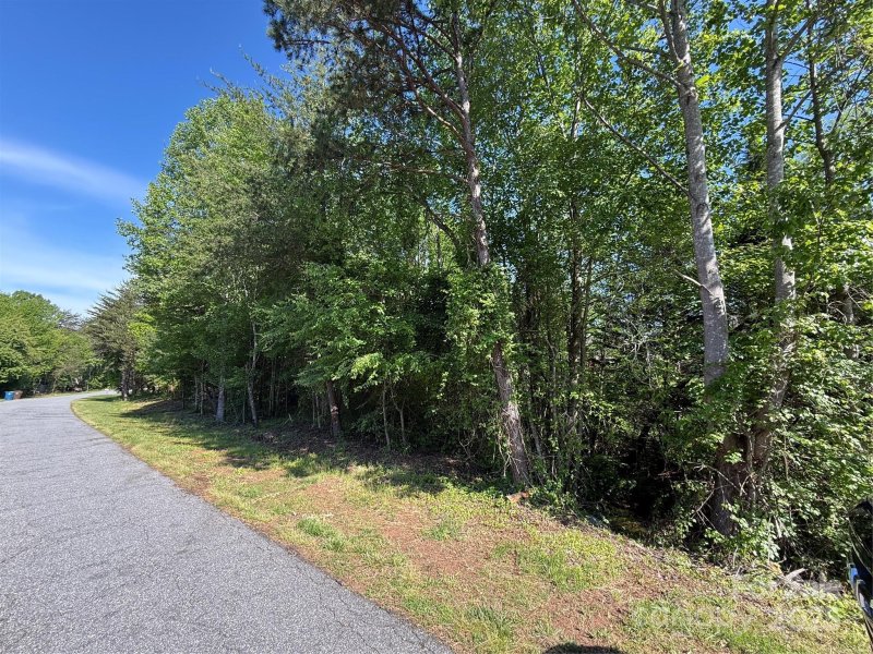 Property image 2 at Lot 19 Wittenburg Springs Drive, Taylorsville, NC 28681