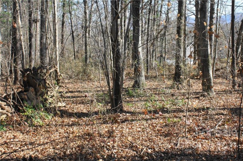 Property image 2 at 000 Fair Oaks Road, Arden, NC 28704