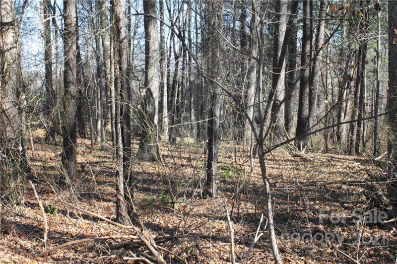 Property image 3 at 000 Fair Oaks Road, Arden, NC 28704