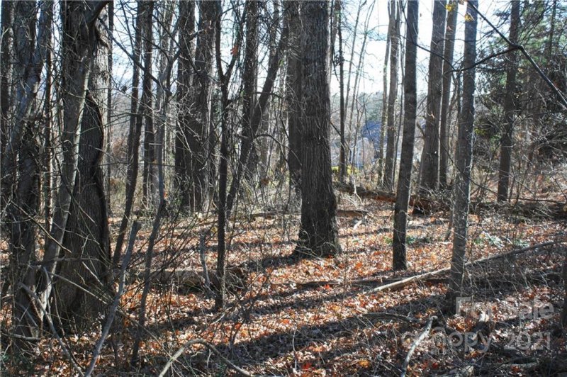 Property image 4 at 000 Fair Oaks Road, Arden, NC 28704