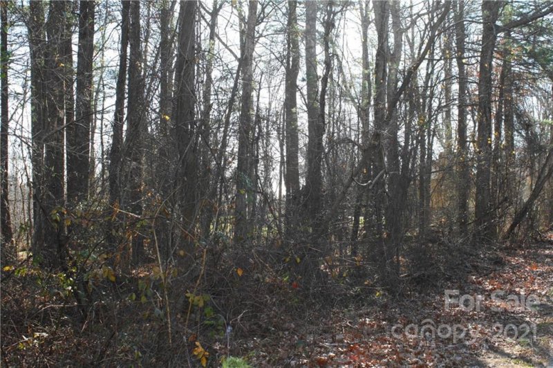 Property image 5 at 000 Fair Oaks Road, Arden, NC 28704