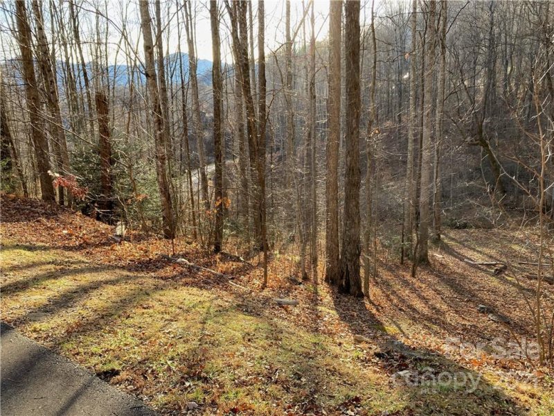 Property image 4 at 12 Mountain Watch Drive, Waynesville, NC 28785