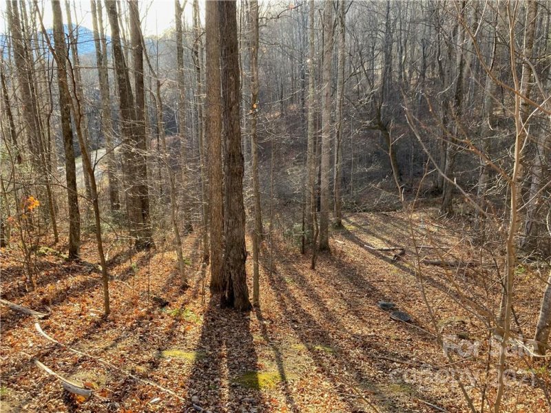 Property image 5 at 12 Mountain Watch Drive, Waynesville, NC 28785