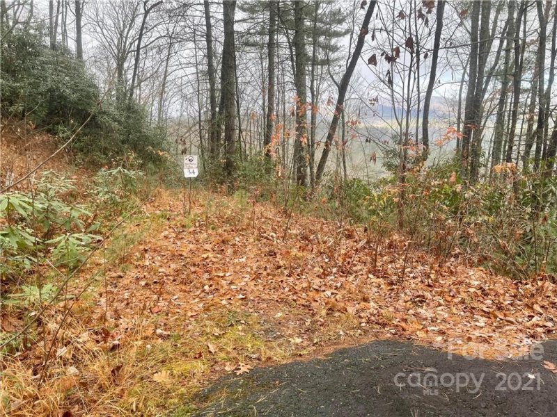 Property image 3 at 000 Birch Lane, Rosman, NC 28772
