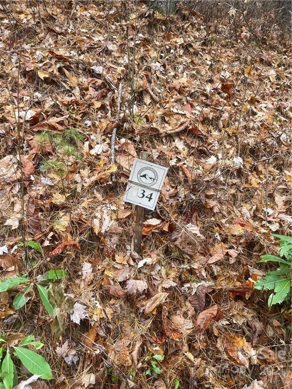 Property image 4 at 000 Birch Lane, Rosman, NC 28772