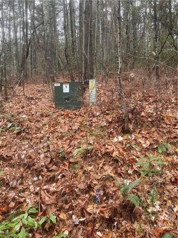 Property image 5 at 000 Birch Lane, Rosman, NC 28772