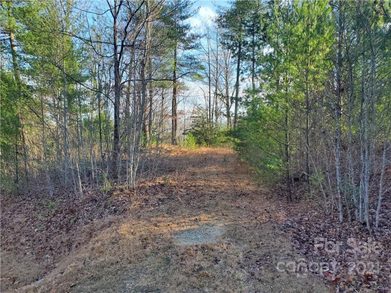 Property image 3 at Near 262 Wagon Ridge Lane, Ferguson, NC 28624