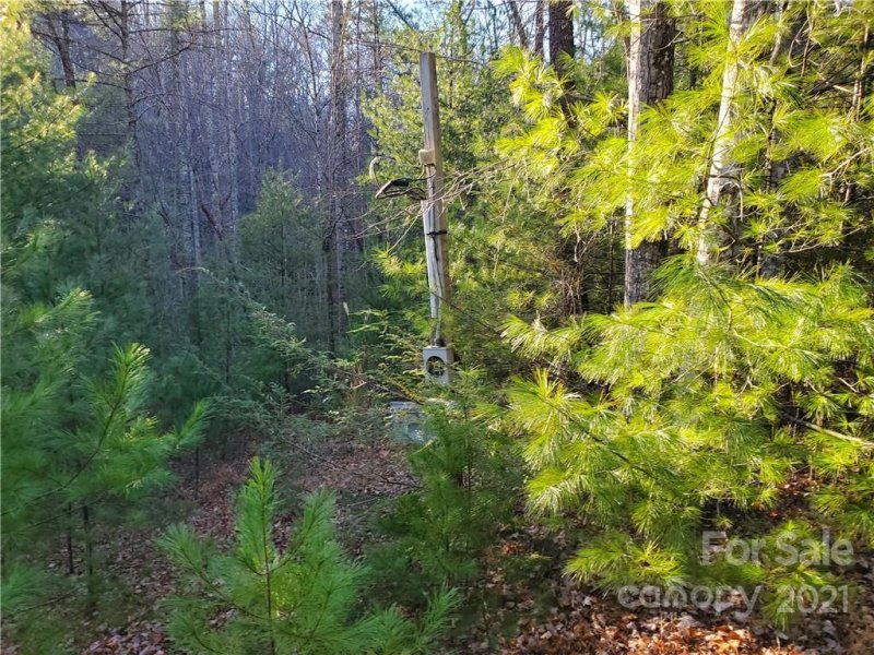 Property image 5 at Near 262 Wagon Ridge Lane, Ferguson, NC 28624