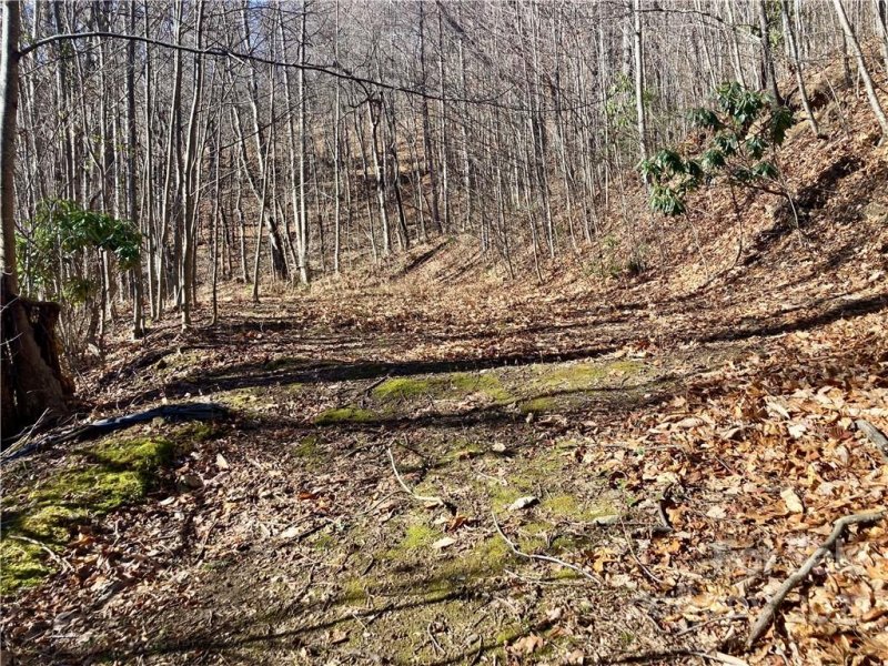 Property image 3 at 402 Loveland Road, Maggie Valley, NC 28751