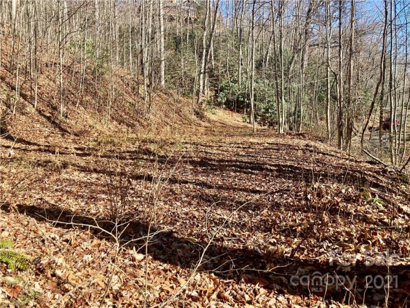 Property image 4 at 402 Loveland Road, Maggie Valley, NC 28751