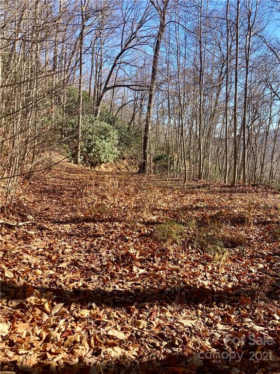 Property image 5 at 402 Loveland Road, Maggie Valley, NC 28751