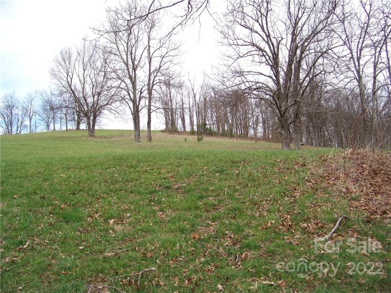 Property image 3 at 399 Summerset Drive, Hendersonville, NC 28792