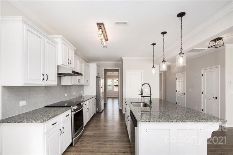 Property image 4 at 13003 Claudel Court, Davidson, NC 28036