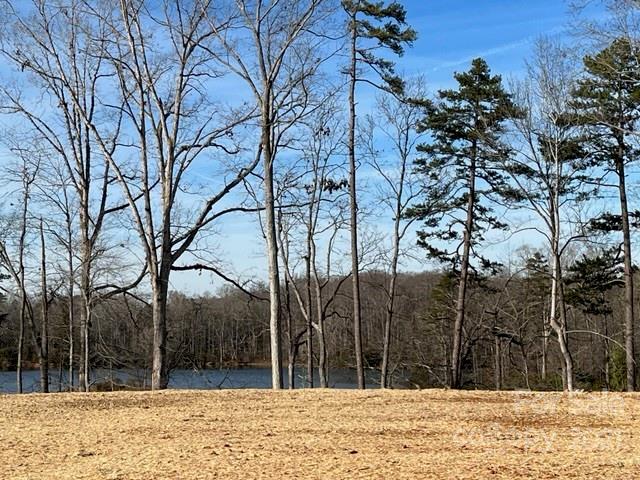 Property image 2 at 1209 Featherton Drive, Belmont, NC 28012