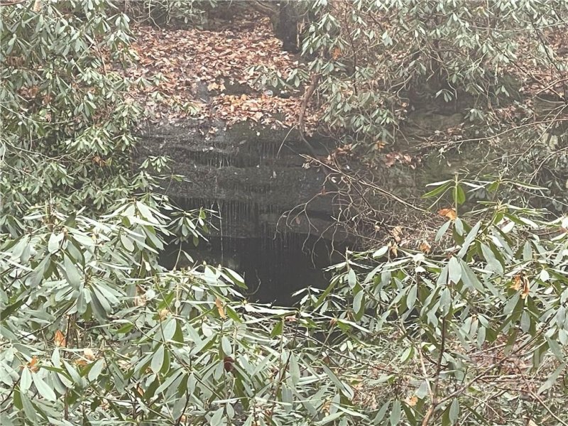 Lot 96 Peppervine Circle