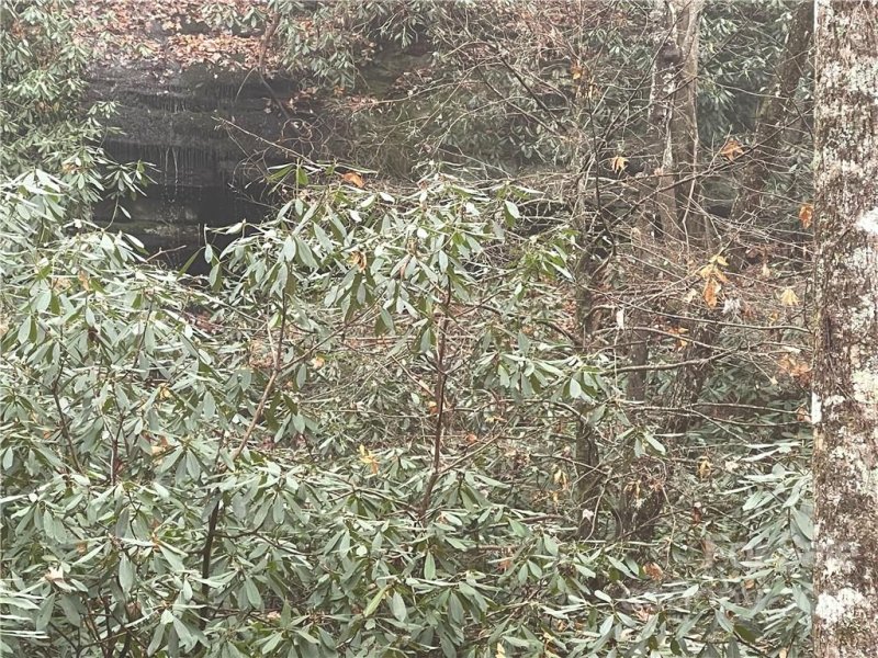 Property image 2 at Lot 96 Peppervine Circle, Brevard, NC 28772