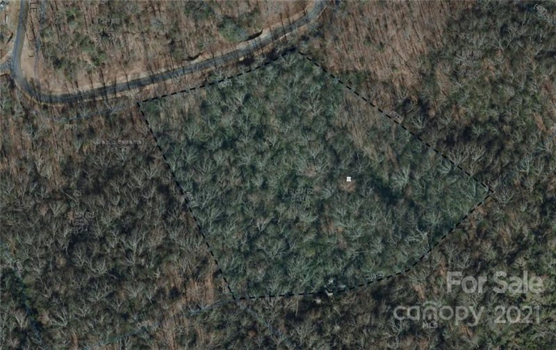 Property image 3 at Lot 96 Peppervine Circle, Brevard, NC 28772