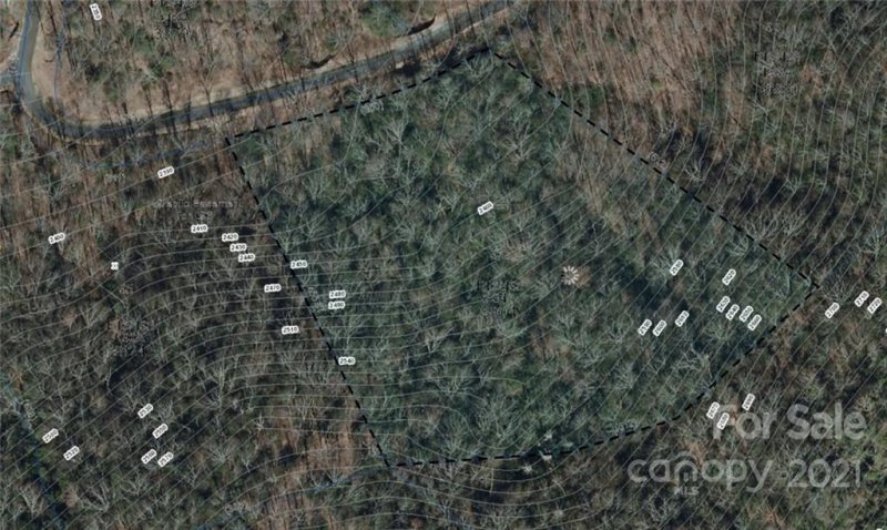 Property image 4 at Lot 96 Peppervine Circle, Brevard, NC 28772