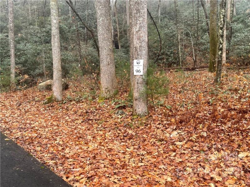 Property image 5 at Lot 96 Peppervine Circle, Brevard, NC 28772