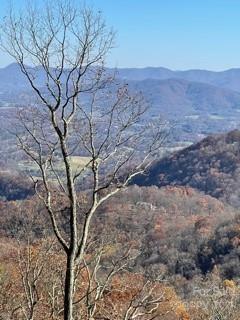 Property image 2 at Lot 93 Wandering Trail, Waynesville, NC 28785